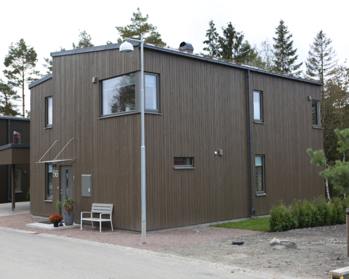 Tallbacken