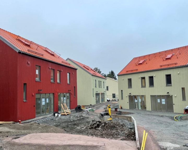 Rönnbäret